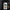 Clear Case for iPhone® - STYLISHOUR