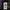 Clear Case for iPhone® - STYLISHOUR