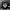 Roaring Tiger Wall Art Canvas - STYLISHOUR
