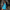 Skater Dress - STYLISHOUR