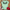 Beautiful Butterfly Eyes T-shirt - STYLISHOUR