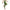 Yoga Leggings - STYLISHOUR